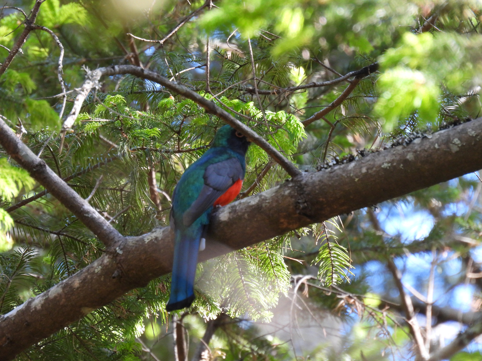 biodiversidad17.jpg