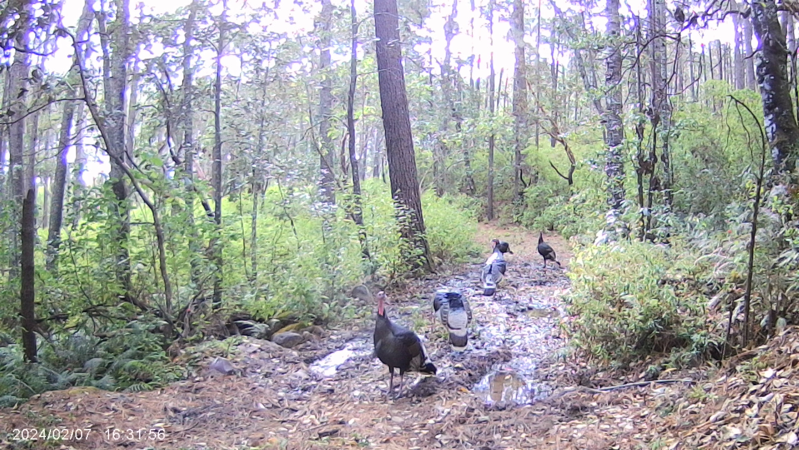 biodiversidad2.jpg