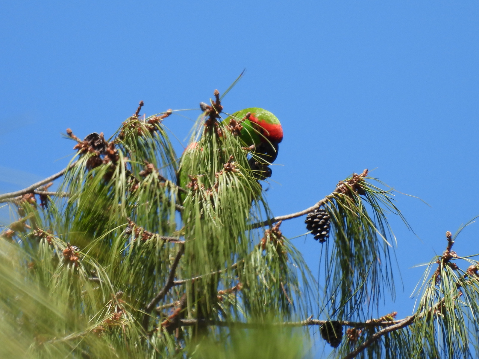 biodiversidad23.jpg