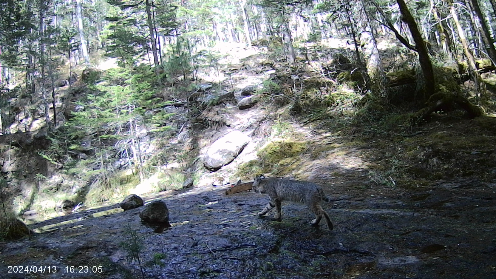 biodiversidad32.jpg