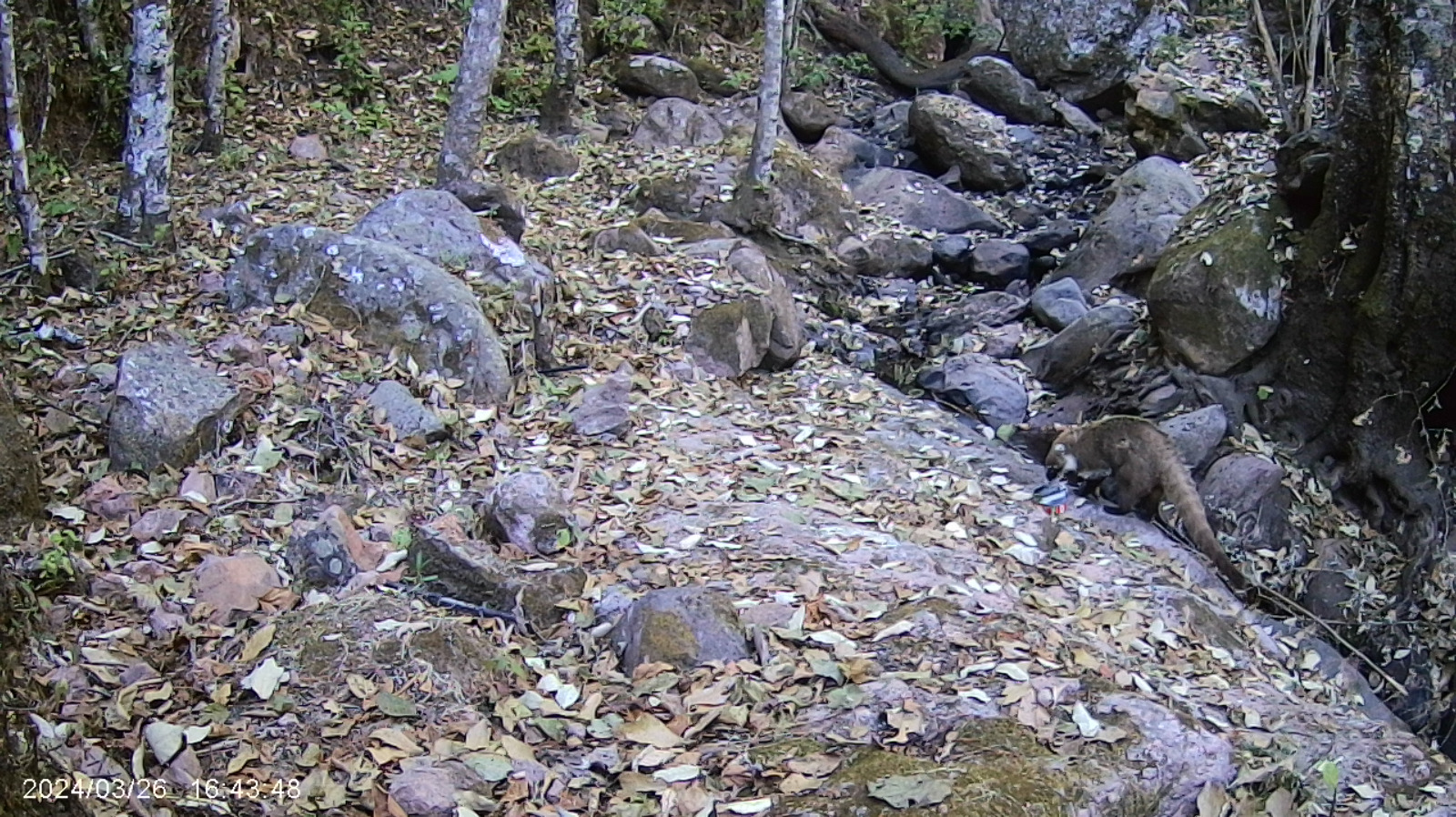 biodiversidad34.jpg
