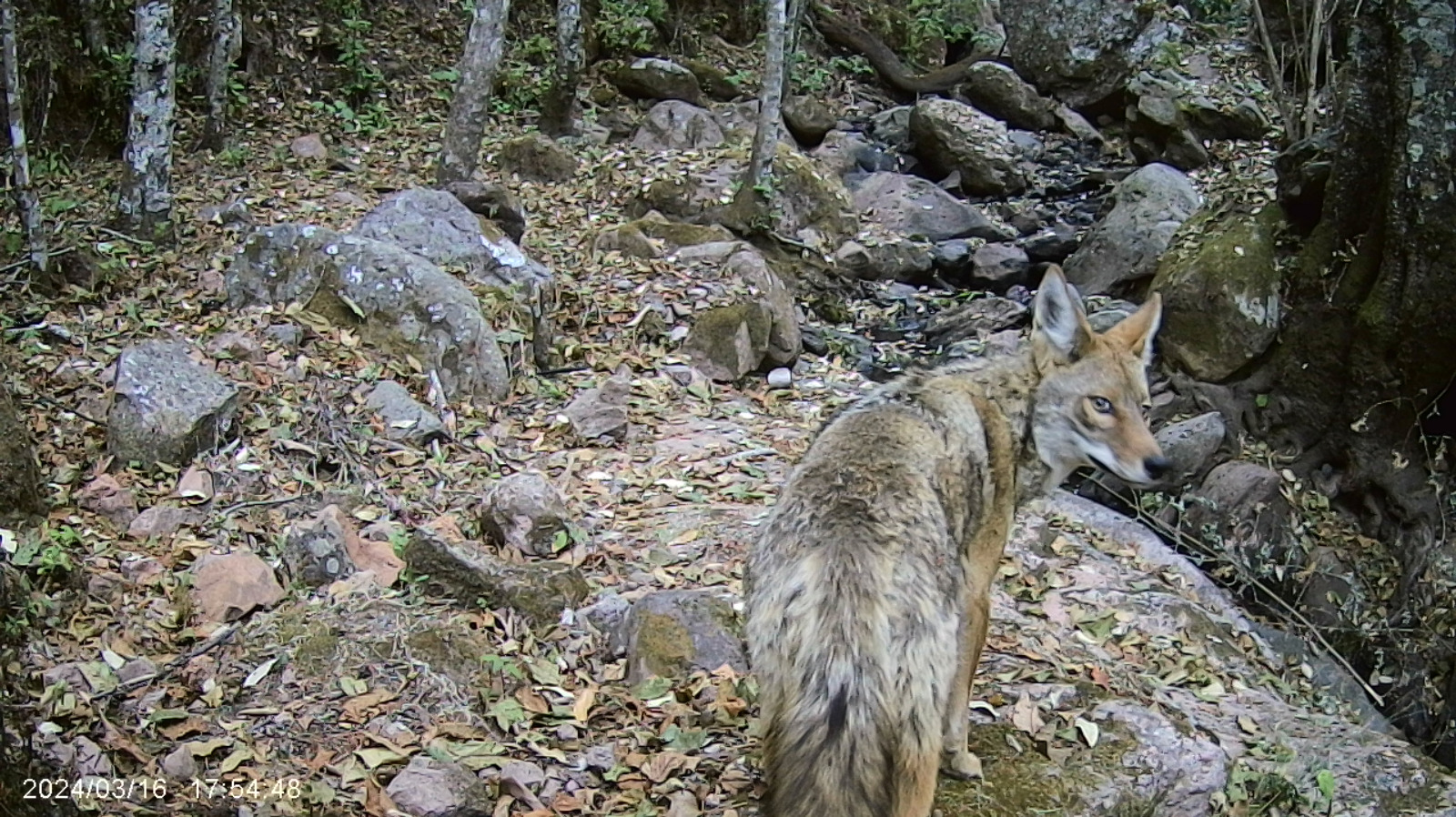 biodiversidad36.jpg