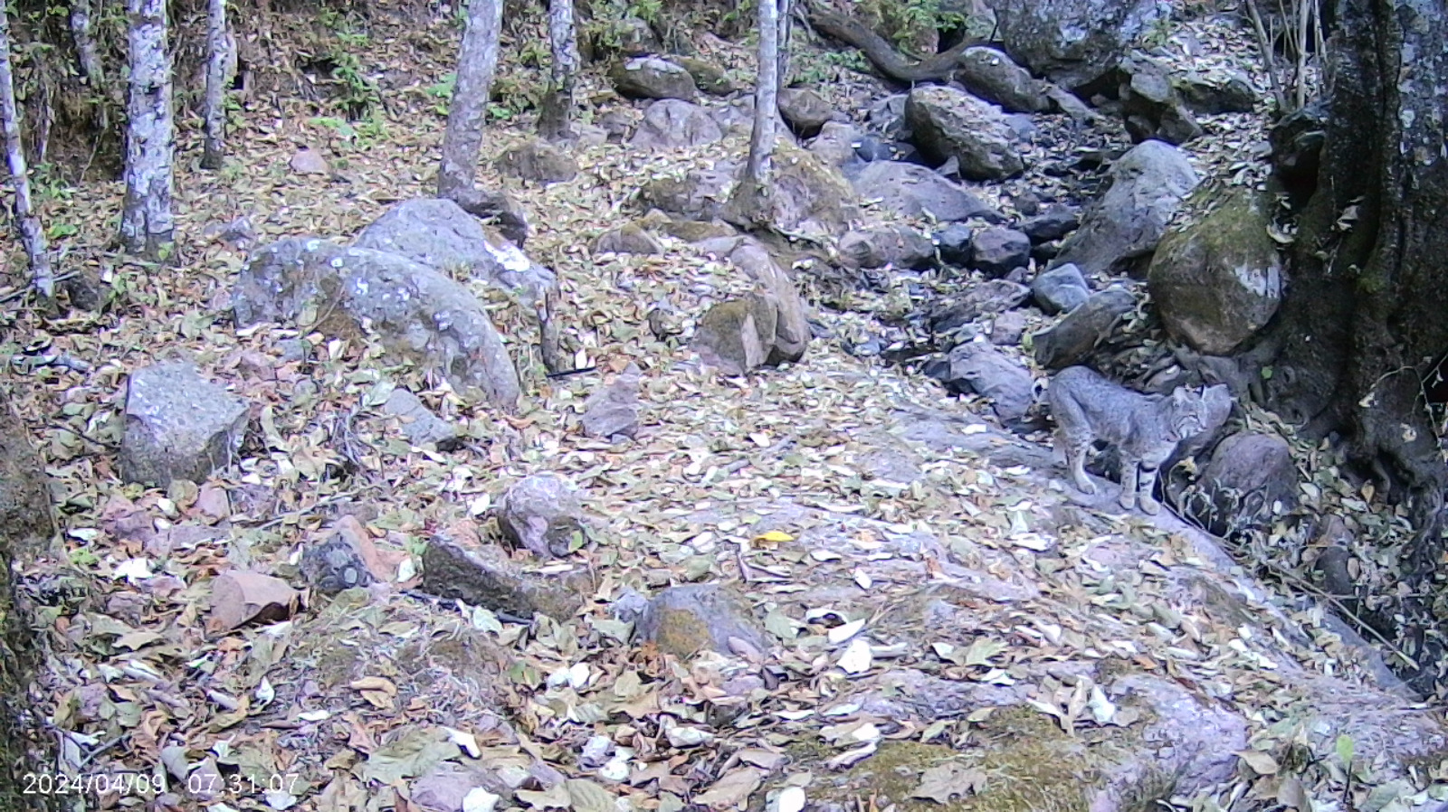 biodiversidad37.jpg