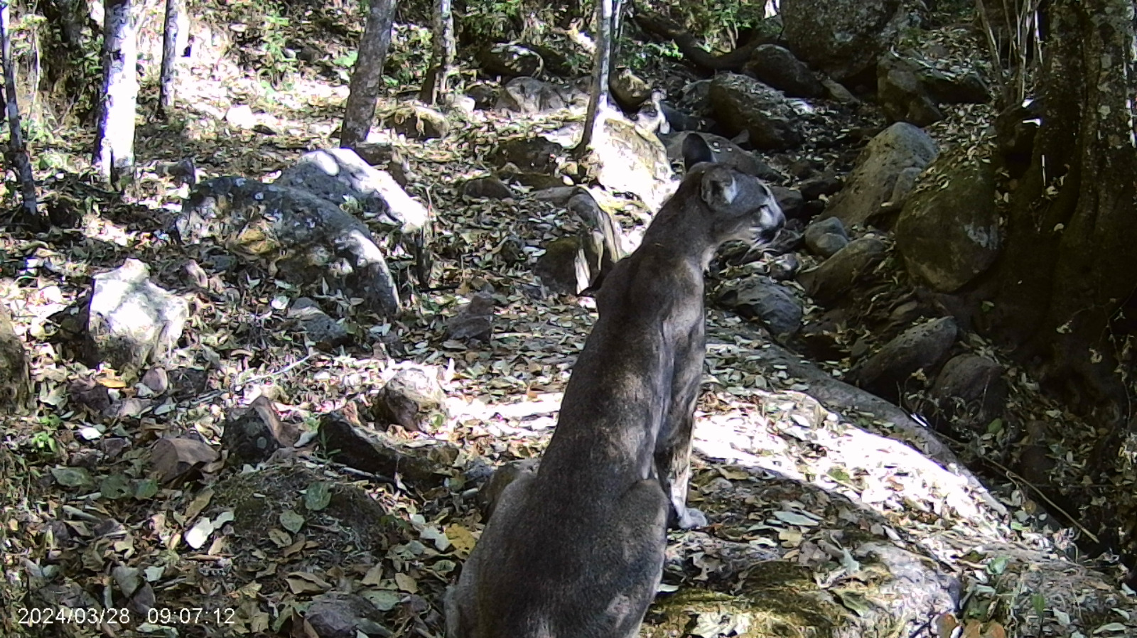 biodiversidad38.jpg